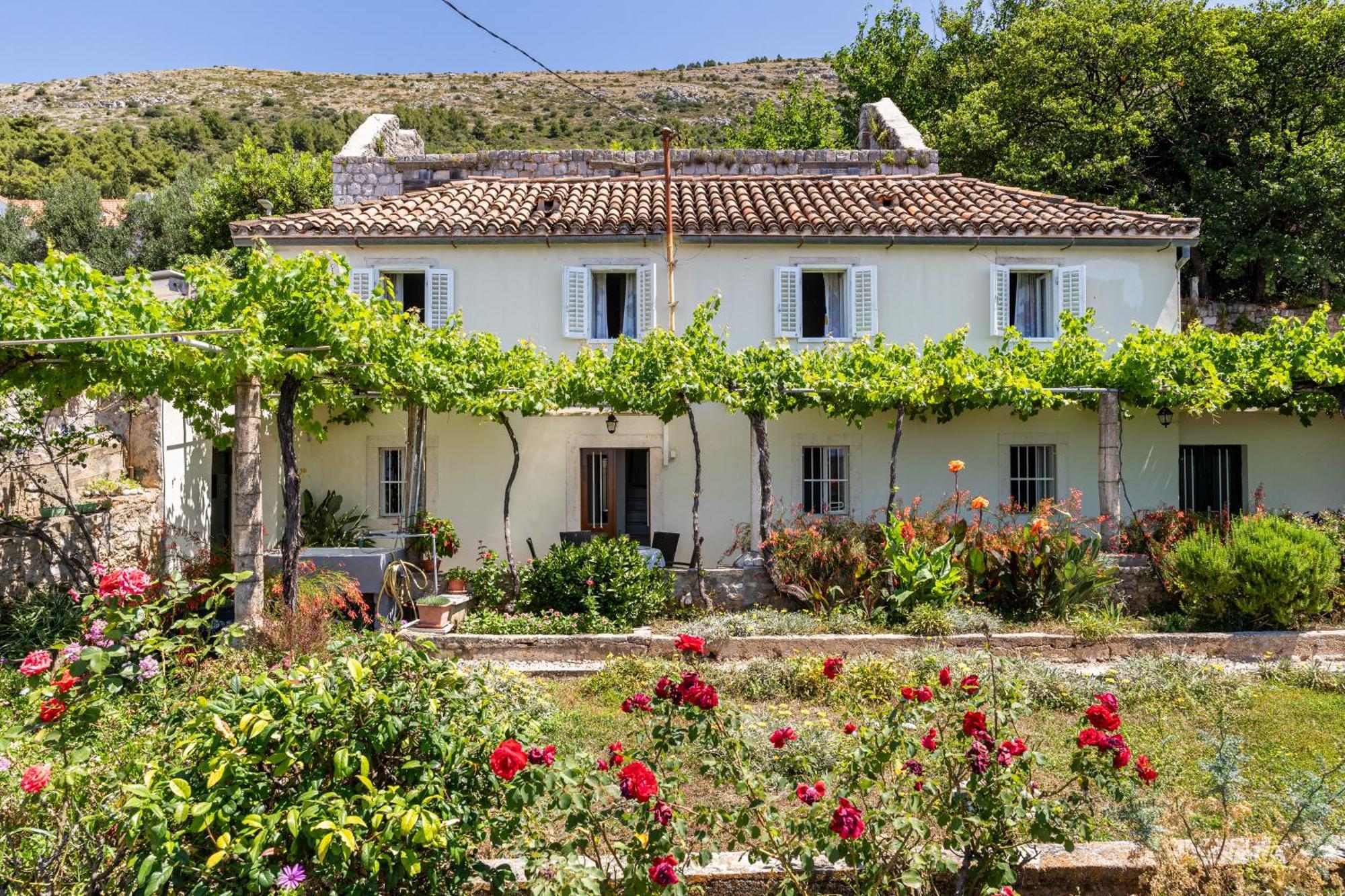 House Verde - Private House With Seaview Dubrovnik Eksteriør bilde