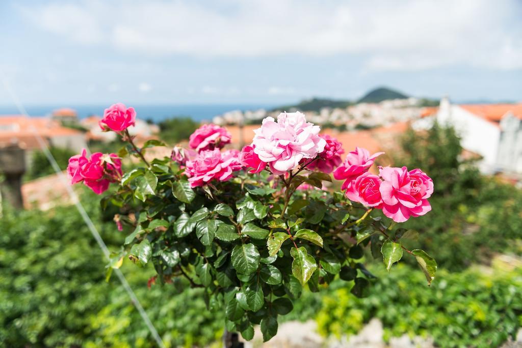 House Verde - Private House With Seaview Dubrovnik Rom bilde
